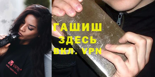 гидра Вяземский