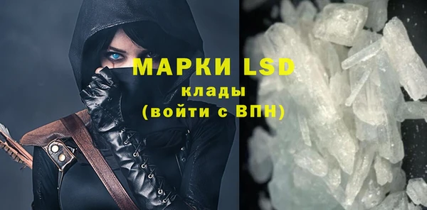 гидра Вяземский