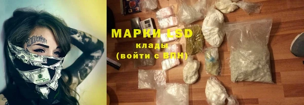 гидра Вяземский
