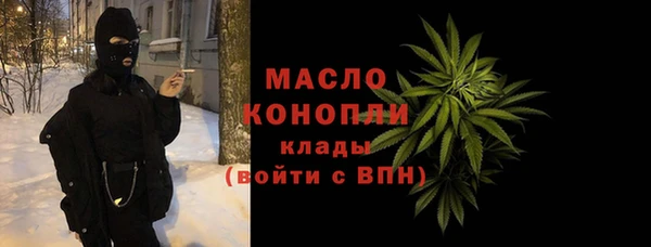 гидра Вяземский