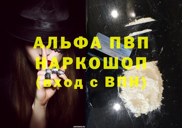 гидра Вяземский