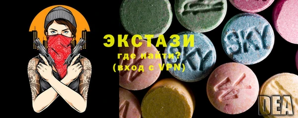 гидра Вяземский