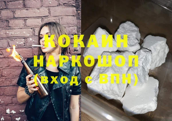гидра Вяземский