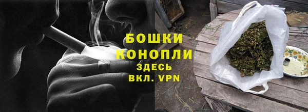 гидра Вяземский