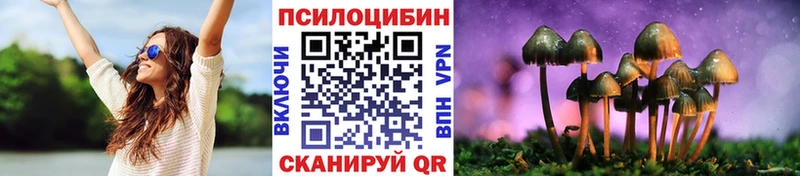 Псилоцибиновые грибы прущие грибы  Сланцы 